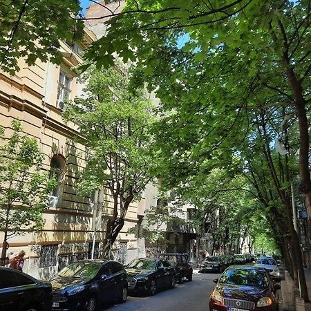בלגרד Apartment 51 - Bright, Spacious, Lux 1 Bedroom In The City Center - Stari Grad מראה חיצוני תמונה